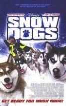 Kar Köpekleri