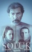Soluk