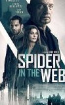 Spider in the Web