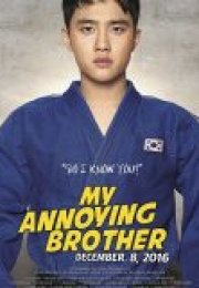 My Annoying Brother