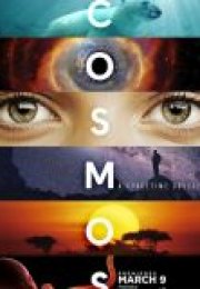 Cosmos Bir Uzay Serüveni