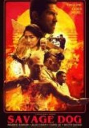 Kanunsuz Topraklarda