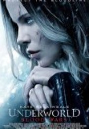 Karanlıklar Ülkesi 5