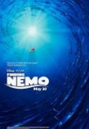 Kayıp Balık Nemo