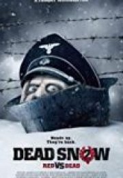 Ölü Kar 2