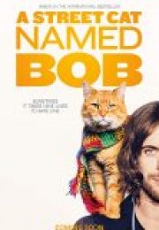 Sokak Kedisi Bob