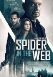 Spider in the Web