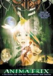The Animatrix