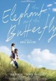 The Elephant and the Butterfly