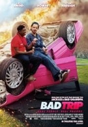 Bad Trip Türkçe Altyazılı izle