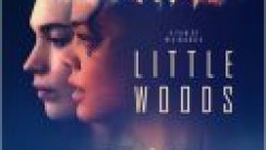 Little Woods
