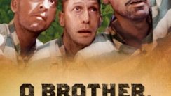 Nerdesin Be Birader?