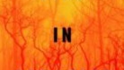 Fire in Paradise Cennetteki Yangın