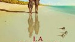 Kırmızı Kaplumbağa