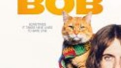 Sokak Kedisi Bob